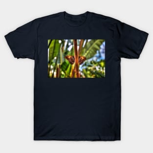 Dusky Giant Owl Butterflies T-Shirt